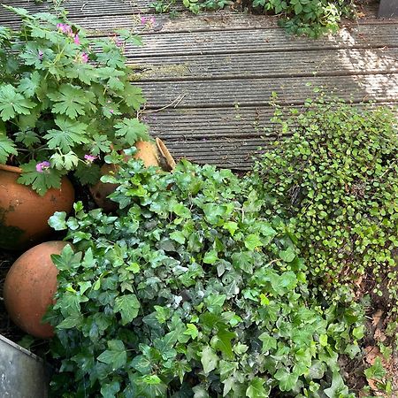 Bed En Breakfast Medemblik Εξωτερικό φωτογραφία